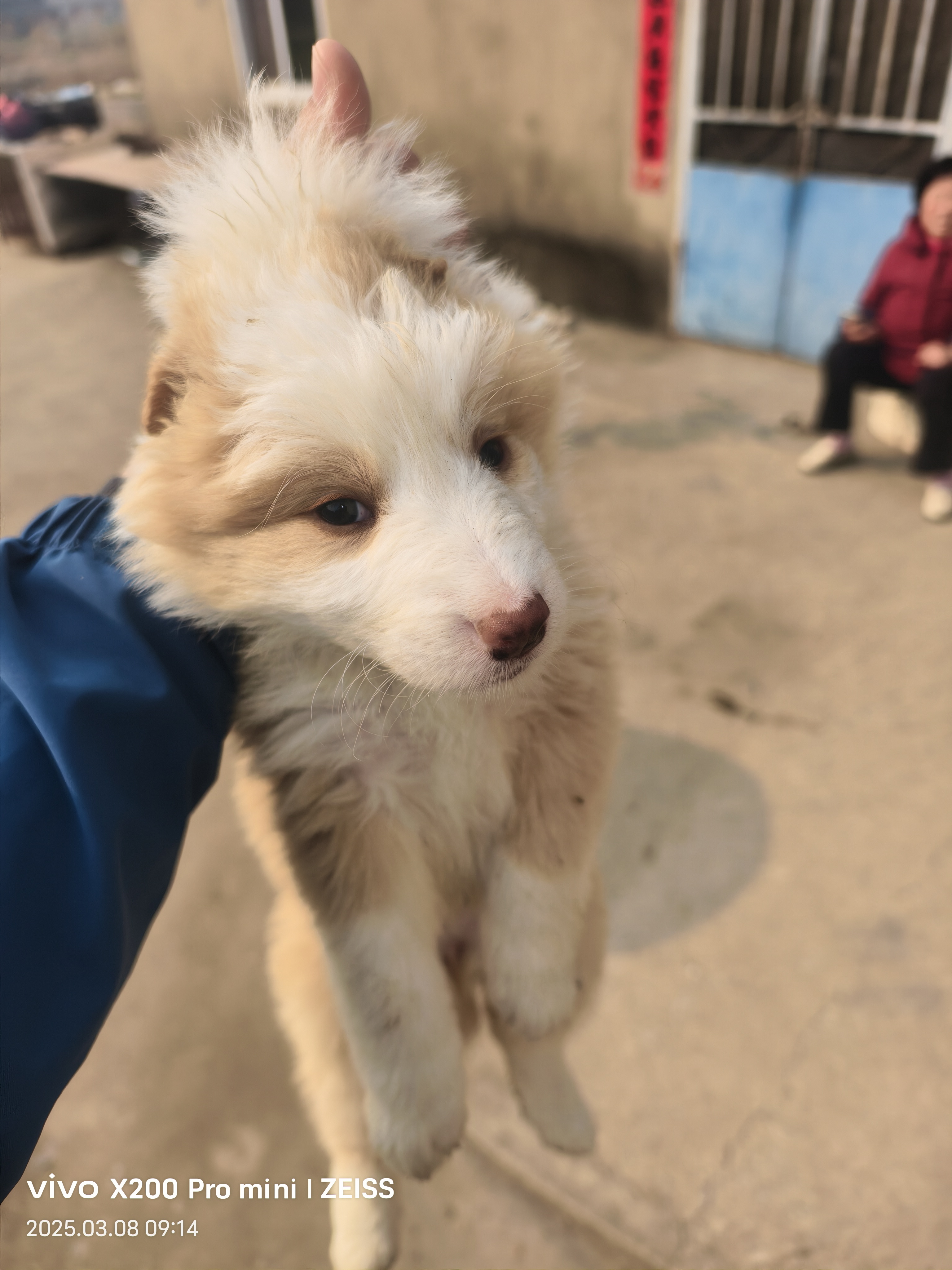 腾窝含泪甩卖，给钱就卖